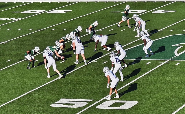 增加取胜的 增加取胜的