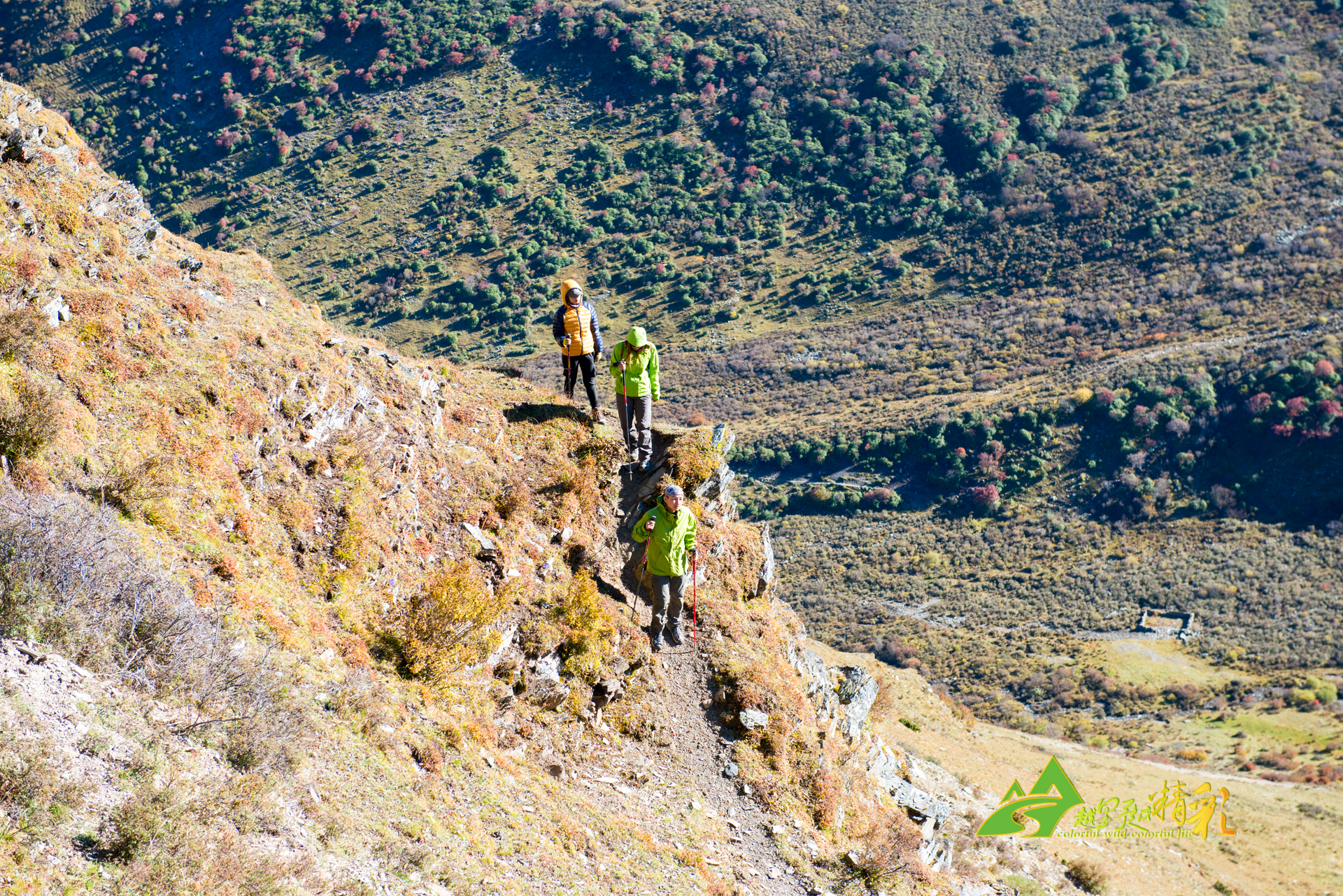 中超第4輪山東泰山4-0長春亞泰 劉偉國送烏龍莫伊塞斯梅開二度.