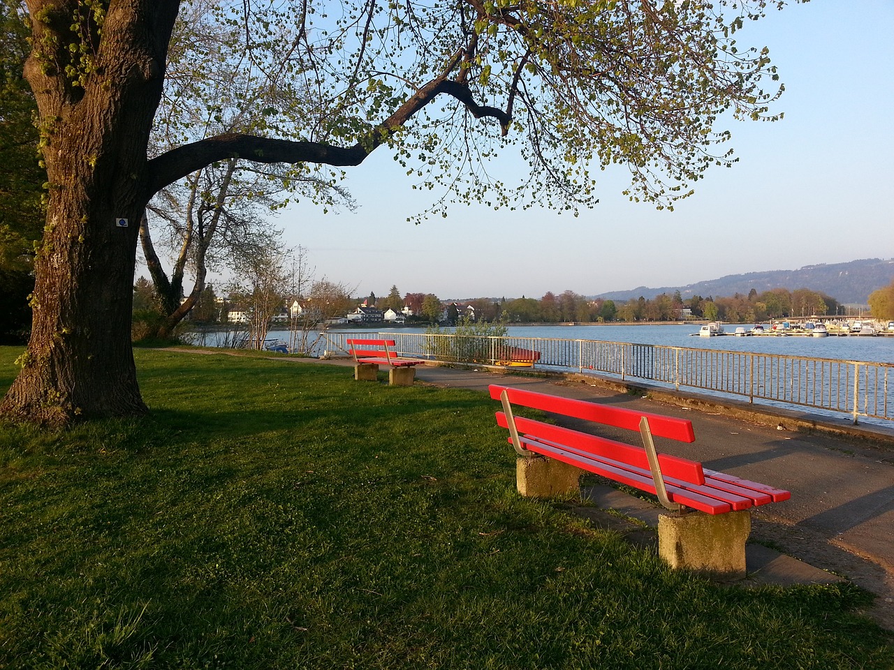 崔永熙想得分其實沒有那麼簡單還差點天賦和運氣.